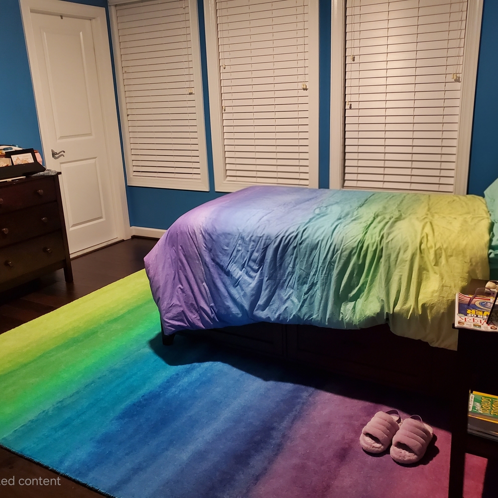 Pottery Barn Teen Ombre Duvet Cover Set